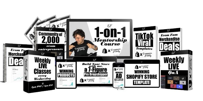 1 on 1 Dropshipping Mentorship