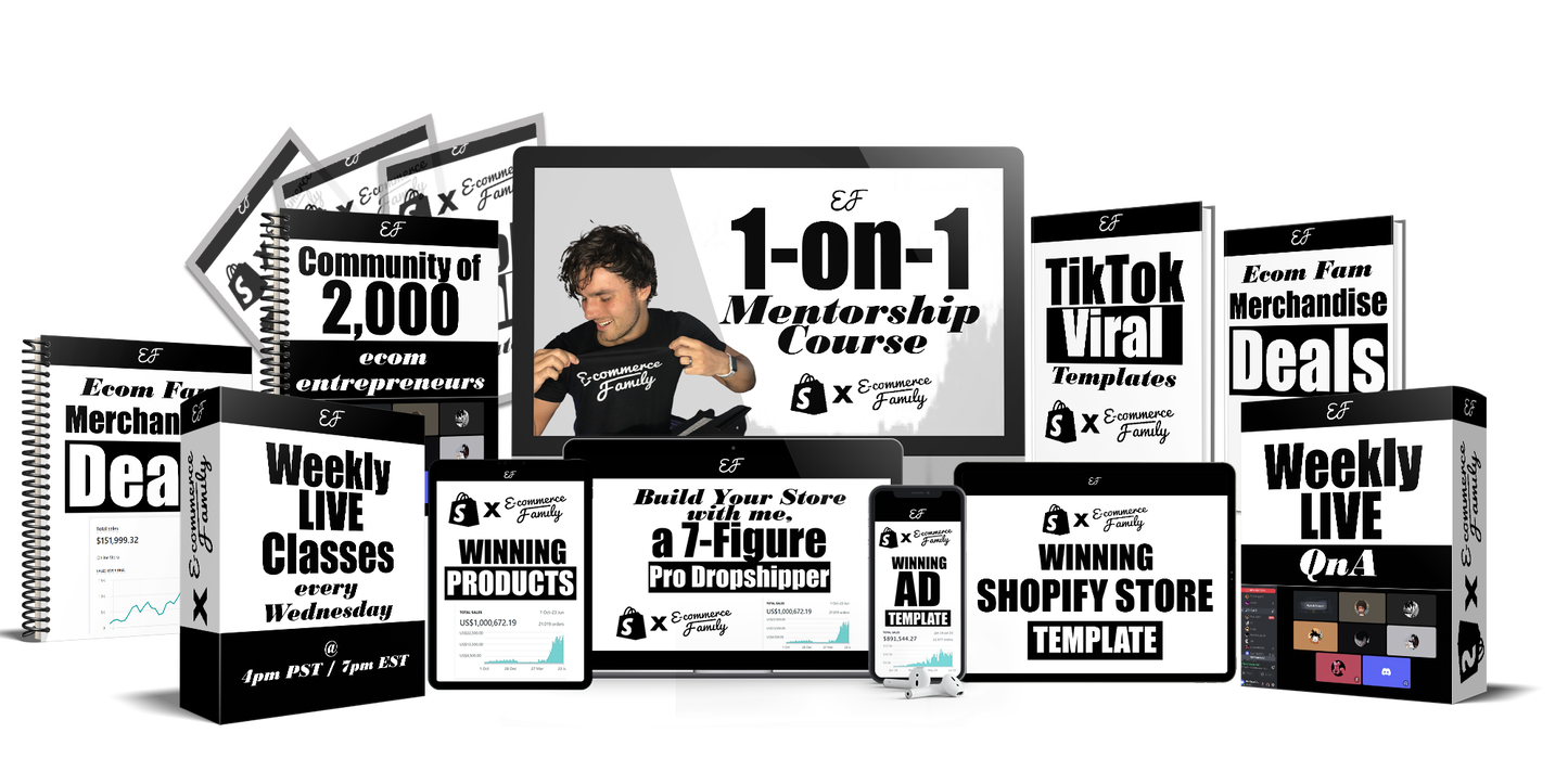 1 on 1 Dropshipping Mentorship