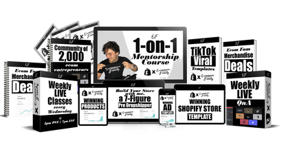 1 on 1 Dropshipping Mentorship