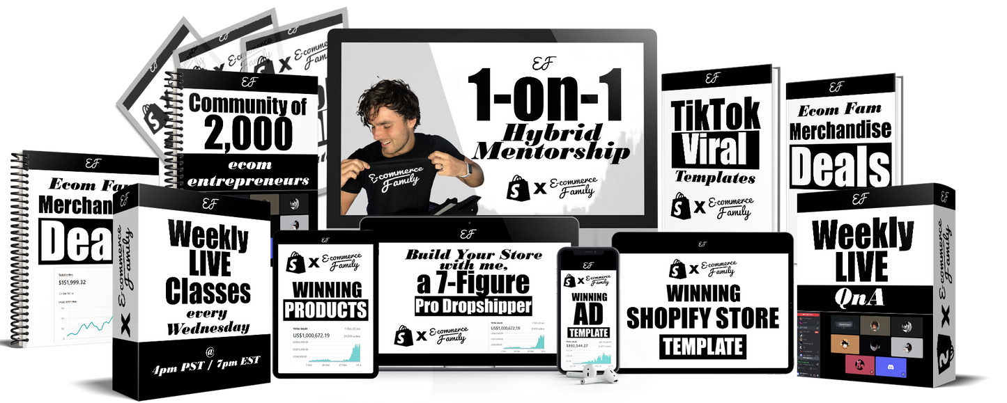 1 on 1 Dropshipping Mentorship High intensity